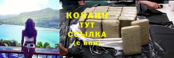 PSILOCYBIN Вязьма