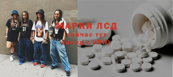прущий лед Вяземский