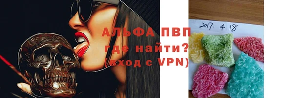 прущие грибы Пестово