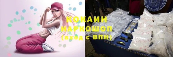 прущие грибы Горняк