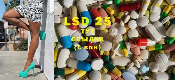 прущие грибы Горняк