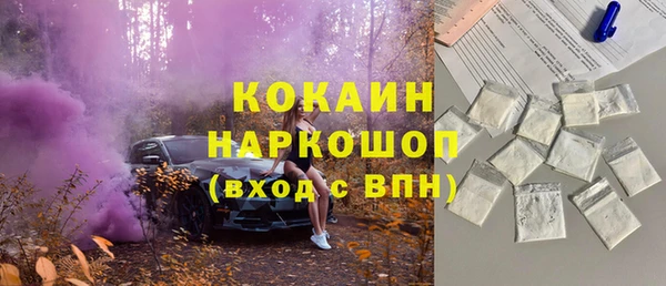 прущие грибы Горняк