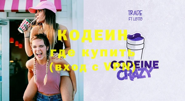 прущие грибы Горняк