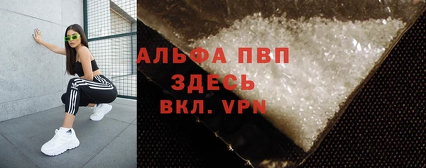 прущий лед Вяземский