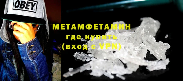 прущие грибы Горняк