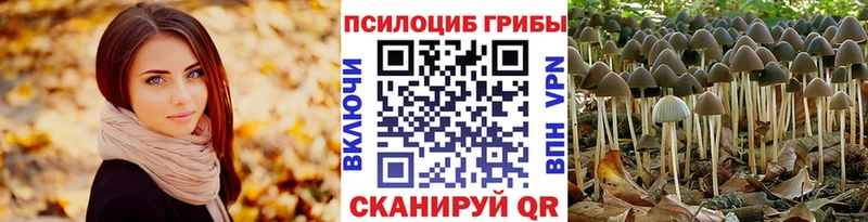 Псилоцибиновые грибы GOLDEN TEACHER  хочу   Сегежа 